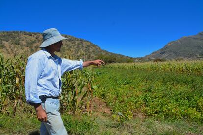 Raúl Betancor, de 47 años, cultiva sobre todo uva para producir el famoso vino de Tarija, el más popular de Bolivia.
