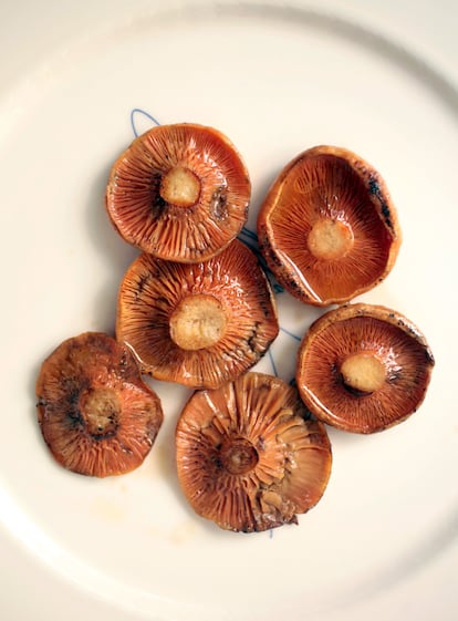 Níscalos en la Cocina de Maria Luisa