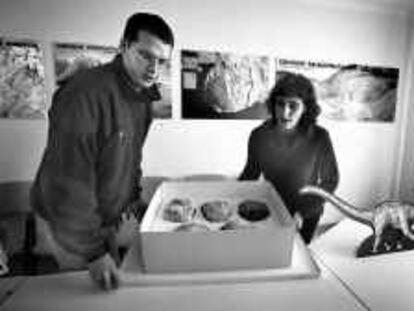 b 38894 (20/dic/00) -color- Huevos de dinosaurio encontrados en Vallcebre. -foto: Susanna Sáez.