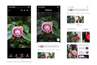 Captura de pantalla de la aplicación Google Lens