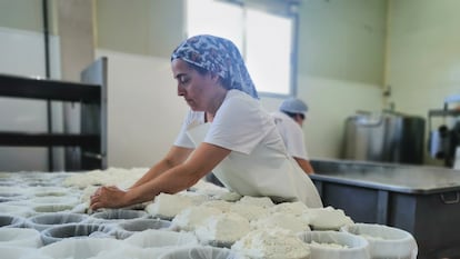 Elaboración del queso de La Garrotxa, en Girona. Desde 2024 cuenta con Indicación Geográfica Protegida (IGP) propia. Imagen proporcionada por la empresa.