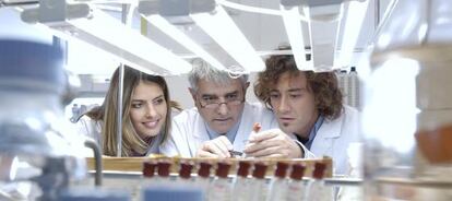 Investigadores en los laboratorios Inasmet, en San Sebastián (Guipúzcoa).
