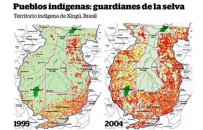 Sukdev Dhurvey, baiga, India: "Dadnos de comer algo venenoso (...) acabad con nosotros aquí. Eso está bien. Pero no nos arranquéis de este lugar. El bosque está aquí solo por nosotros. Si nos vamos, veréis (...) después de algún tiempo no quedará nada".   Un 20% de toda la Amazonia brasileña está bajo el control y adecuado cuidado de pueblos indígenas. Las imágenes satelitales ofrecen evidencias sorprendentes: en muchos casos los territorios indígenas están claramente definidos por la deforestación, que se detiene justo en sus límites.   Un claro ejemplo lo vemos en el parque indígena Xingú, en Brasil, donde habitan varios pueblos indígenas. Como se aprecia en el gráfico, este territorio proporciona una barrera vital contra la deforestación en la Amazonia brasileña.   Numerosos estudios ponen de manifiesto tasas de deforestación y de incendios forestales reducidas en tierras indígenas. Estas son evidencias convincentes de que los pueblos indígenas, por lo general, gestionan sus tierras idóneamente. Deben hacerlo, ya que dependen de ellas para vivir y prosperar.