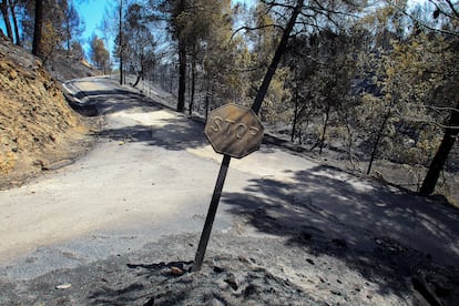 Vista general del terreno afectado por el incendio forestal declarado a media tarde de este martes que obligó al desalojo de la población de Penáguila.