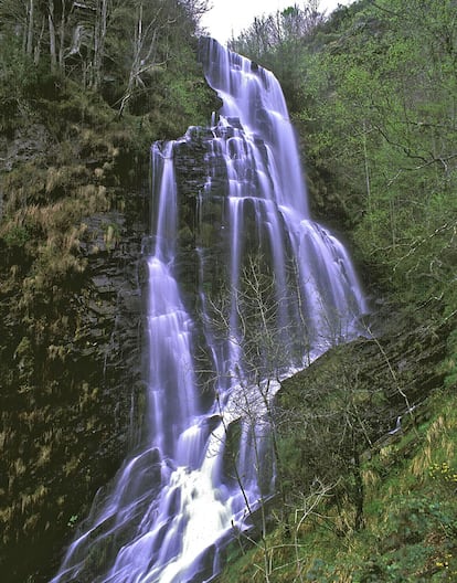 En los montes asturianos de Los Oscos, el río Murias cae por un cortado rocoso de más de 20 metros de altura. Un sendero boscoso lleva desde la aldea de Pumares, cerca de Santa Eulalia de Oscos, hasta los pies de la cascada.