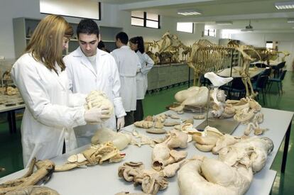 Laboratorio de la Facultad de Veterinaria de la Universidad de Murcia, en febrero de 2010.