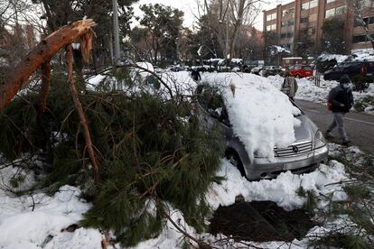 Ramas caídas de un árbol junto a un coche como consecuencia de la nevada provocada por la borrasca Filomena en una calle de Madrid.