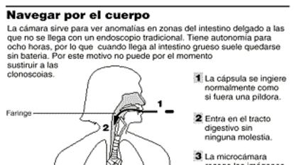 Navegar por el cuerpo