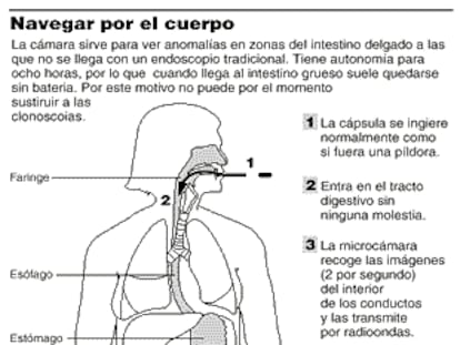 Navegar por el cuerpo