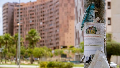 Cartel de alquiler de habitación en una farola en el campus universitario de Teatinos, en Málaga