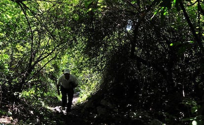 Dos sicarios confiesan haber matado al menos a 17 de los 43 normalistas desaparecidos bajo orden de los Guerreros Unidos. Los asesinos aseguran haber dejado los cuerpos en unas fosas excavadas en un cerro en las cercanías de Iguala.