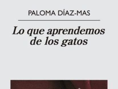 Memoria de gato frente a la razón