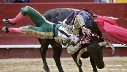 Padilla, cogido por 'Hortensia'.