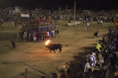 <i>Bou embolat</i> en Sant Carles de la Ràpita, el pasado 29 de julio.