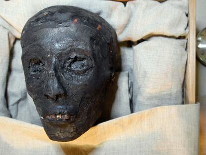 La cabeza de la momia del fara&oacute;n Tutankam&oacute;n.