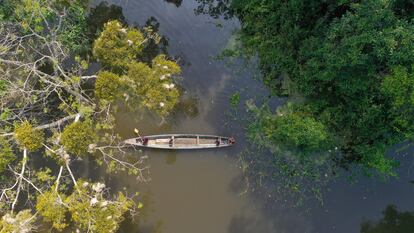Imagen aérea del río Ampiyacu donde se asentaron los boras que sobrevivieron a la fiebre del caucho a inicios del siglo XX.