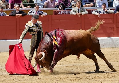 Inspirado muletazo de Damián Castaño al cuarto toro de la mañana.