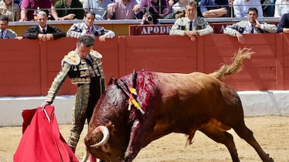 Inspirado muletazo de Damián Castaño al cuarto toro de la mañana.
