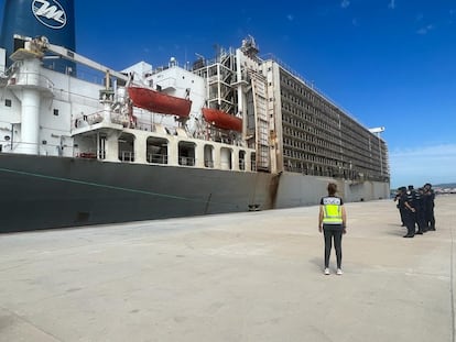 El buque de bandera panameña 'Mawashi Express' cargado con 16.000 vacas e interceptado en una operación antidroga de la Policía Nacional en Algeciras, donde lo registran en busca de 5 toneladas de cocaína.