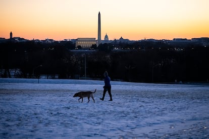 Una persona pasea a su perro al amanecer del da de la investidura presidencial, que se celebrar bajo techo debido a las temperaturas extremadamente fras en D.C.  