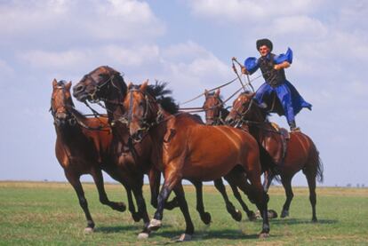 Una exhibición de caballos en el parque nacional de Hortobágy, en la región húngara de la Puszta.