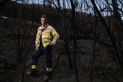 Emili Dalmau, sargento de los Bomberos de la Generalitat, en el punto donde se cree que se originó el incendio, el pasado julio.