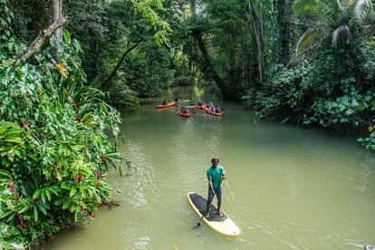 Como centro del turismo ecológico y de aventuras en Centroamérica y paradigma de la sostenibilidad, a veces se pasa por alto que <a href="https://www.visitcostarica.com/es" target="_blank">Costa Rica</a> tiene también una estupenda costa caribeña. Es la cara B del país porque resulta muy diferente. La naturaleza salvaje del Caribe disuadió a los españoles de establecerse aquí y por ello su cultura está más influida por los pueblos indígenas y los inmigrantes antillanos, diferenciándose claramente de la del resto del país. Todavía hay que poner cierto esfuerzo para llegar a Tortuguero a ver el desove de las tortugas, a practicar 'rafting' por el río Pacuare o bucear en los arrecifes de Manzanillo, pero merece la pena. Además, la cultura especial del Caribe tico se completa con los sabores únicos de la zona, con influencia afrocaribeña, con la cadencia cantarina del dialecto criollo y con unas playas de arena negra, solitarias y bordeadas de palmeras.