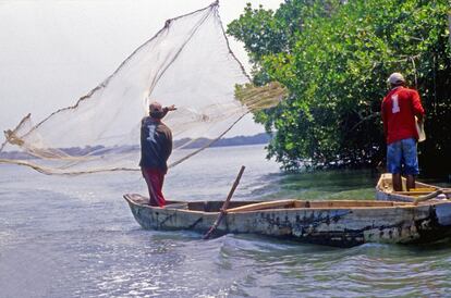 En medio de la vulnerabilidad,  la pesca sigue siendo la principal fuente económica y de alimentación para buena parte de la población de la Ciénaga.