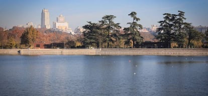 El lago de la Casa de Campo con los edificios de la plaza de España al fondo.