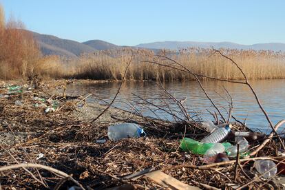 Desechos y restos plásticos en el lago Ohrid, en Macedonia del norte.