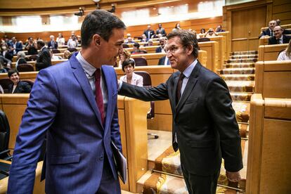 Pedro Sánchez (a la izquierda) saluda a Alberto Núñez Feijóo en el Senado el pasado 6 de junio.