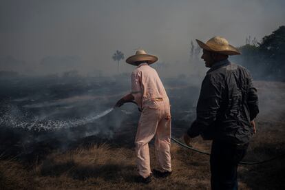 Un habitante de Rincón de la Palma (Veracruz), intenta apagar las llamas de un incendio forestal con una manguera de jardín, el 18 de mayo.