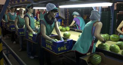 Trabajadoras de una planta de El Ejido.