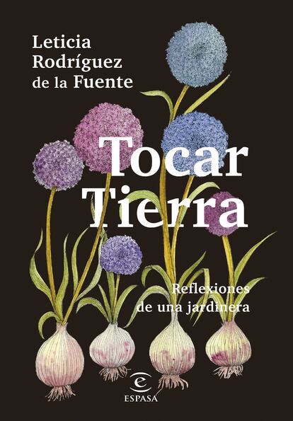 Tocar tierra