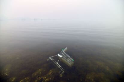 Un carrito de la compra medio sumergido en el agua contaminada por los incendios forestales que atraviesan los bosques del interior de Gosford, en Sidney (Australia).