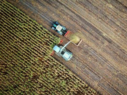 Construir un futuro con agricultura digital