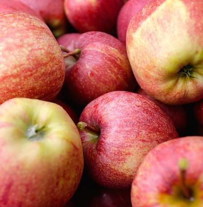 Apple Farmers To Receive EU Help Following Price Drop and Russian Sanctions