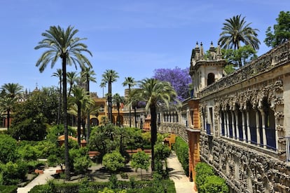 Los escenarios donde se rueda 'Juego de tronos' atraen cada vez a más curiosos. El Real Alcázar de Sevilla es el reino de Dorne en la quinta temporada.