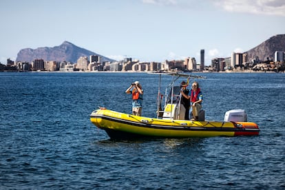 Este servicio de agentes del Ministerio para la Transición Ecológica funciona desde hace apenas tres años para vigilar los espacios marinos protegidos en España, que ya superan a los terrestres.