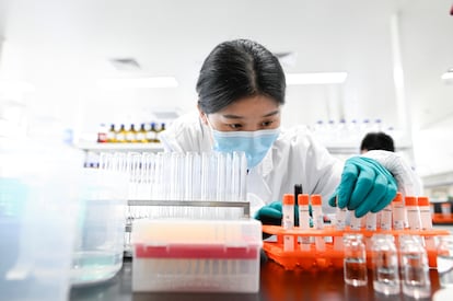 Una ingeniera trabaja en el laboratorio de Sonivac, empresa china que produce vacunas contra la covid.