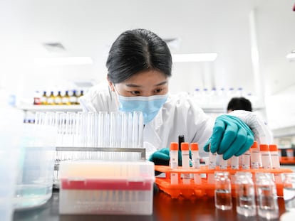 Una ingeniera trabaja en el laboratorio de Sonivac, empresa china que produce vacunas contra la covid.