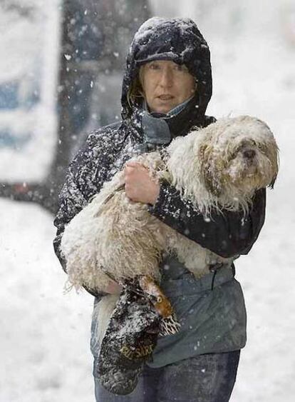 Una mujer lleva en brazos su perro en Vitoria.