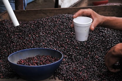 En ciertos países del Lejano oriente y el Pacífico, los garbanzos o las lentejas son alimentos hasta cierto puto exóticos. Esto es porque la agricultura de subsistencia se ha centrado desde hace siglos en el trigo, el arroz, el mijo o la soja, cuyo protagonismo es enorme en lugare como China, Corea del Sur o Japón. Las habas, los frijoles y los guisantes secos son las tres legumbres más producidas en esta región.