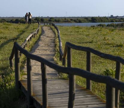 Una de las pasarelas en la gran laguna de la Dehesa de Abajo (Sevilla), donde se pueden avistar porrones y flamencos, así como otros patos, fochas, zampullines y ocasionales bandos de grullas.