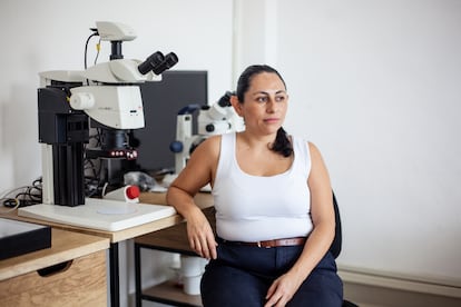 Ana Laura Vigueras en el Laboratorio Mixto Internacional, en Mérida, Yucatán.  En septiembre de 2024. 