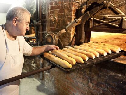 Los españoles no sabemos cómo sabe el pan integral (y así seguirá siendo por un tiempo)