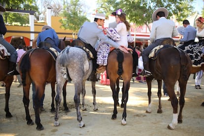 Durante estos días propietarios y ganaderos intentan que sus caballos luzcan los más bonitos de la feria, para rendir homenaje a tan noble animal.