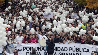 Protesta celebrada en Granada el pasado d&iacute;a 27 de noviembre.