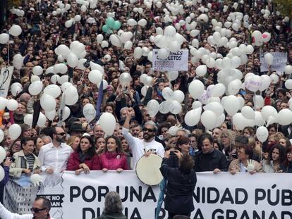 Protesta celebrada en Granada el pasado d&iacute;a 27 de noviembre.