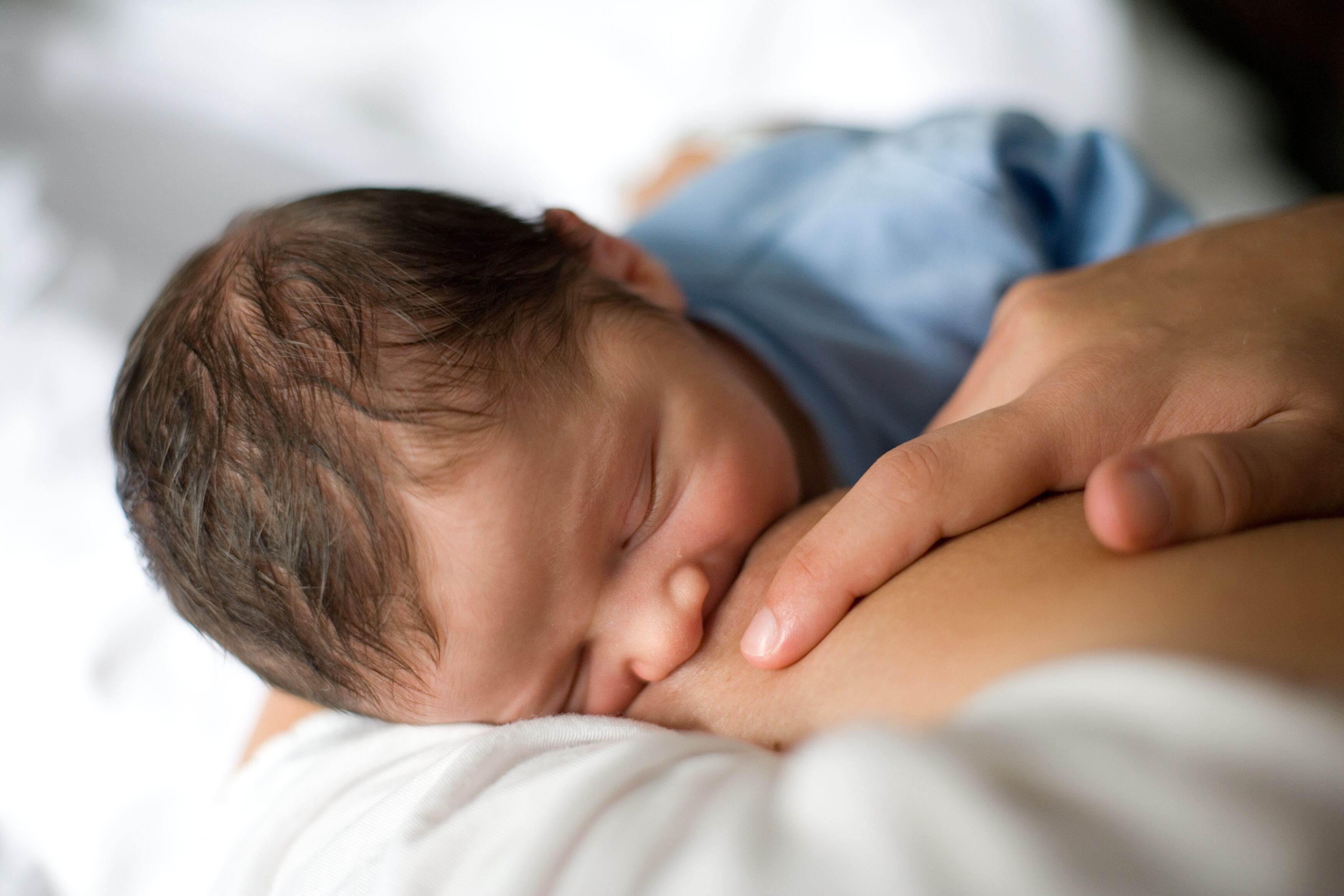 El rey de los alimentos funcionales para los niños es la leche materna. 